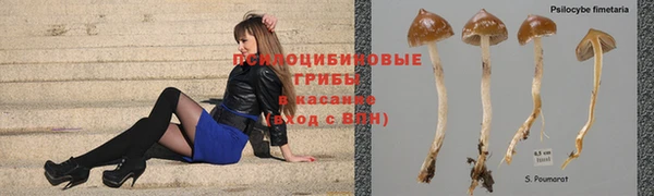apvp Алексеевка