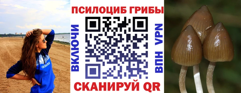 Галлюциногенные грибы прущие грибы  Куса 